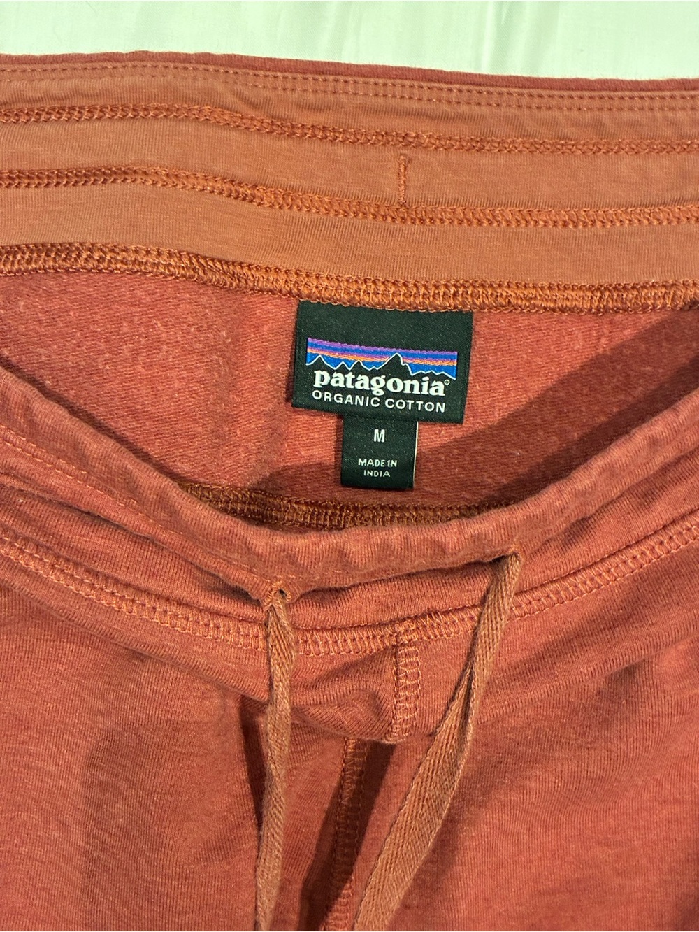 Patagonia Men's Burnt Orange Organic Cotton Joggers
